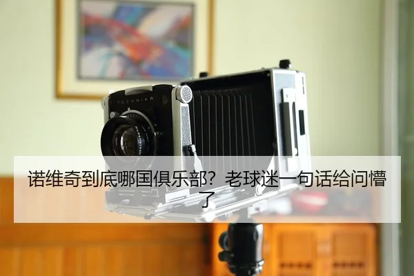 诺维奇到底哪国俱乐部？老球迷一句话给问懵了