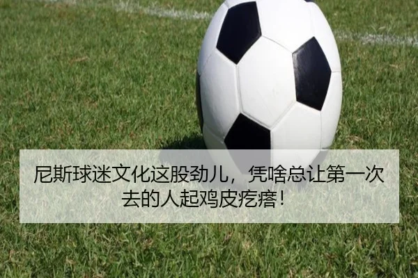 尼斯球迷文化这股劲儿，凭啥总让第一次去的人起鸡皮疙瘩！