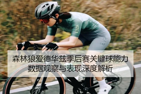 森林狼爱德华兹季后赛关键球能力数据观察与表现深度解析