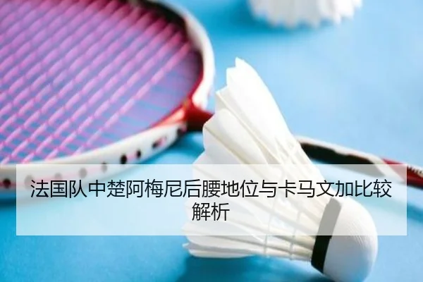 法国队中楚阿梅尼后腰地位与卡马文加比较解析